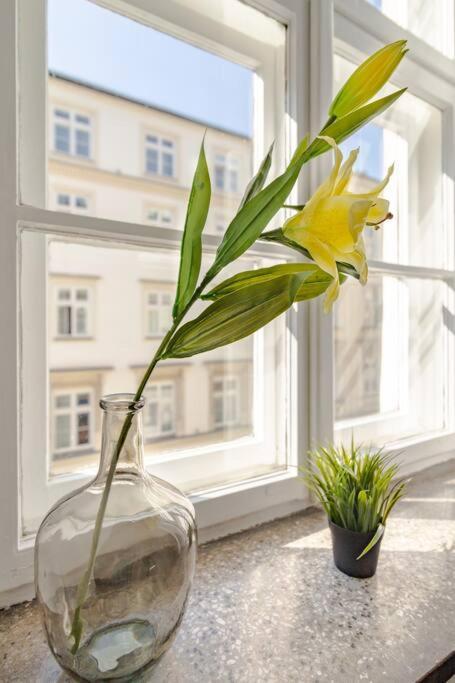 Royal Route Apartment Fully Equipped Krakau Exterior foto